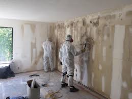 Professional Mold Remediation in Sutton Alpine, AK